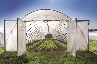 High Quality Green House Wallpapers