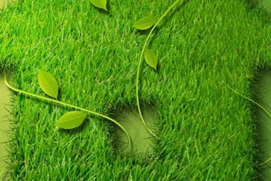 Green House Wallpapers   Free iPhone Wallpapers