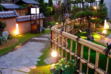 Flowers In Greenhouse, Flowers In Clean And Beautiful Garden ...