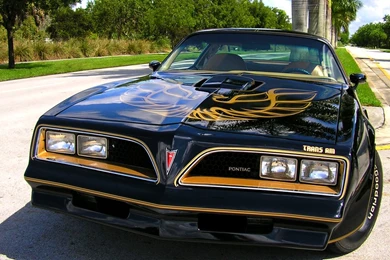 Happy Birthday Bandit! Trans Am Dump