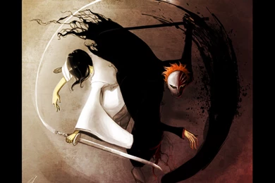 Black Passion Vs White Pride By Newsha Ghasemi On DeviantArt