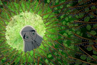 THE SECRET OF KELLS F Wallpapers