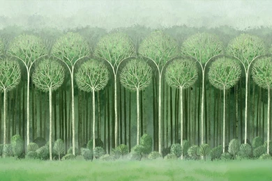 THE DANMAN CAN: The Secret Of Kells (2009) ****