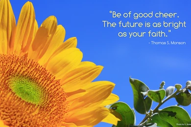 Quotable Poster Photo Contest