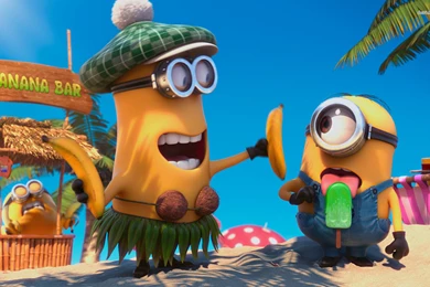 Minion Hi Res Wallpapers 4444