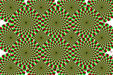 Rotating Snake Illusion, Moving, Psychedelic, 1920x1200 HD ...
