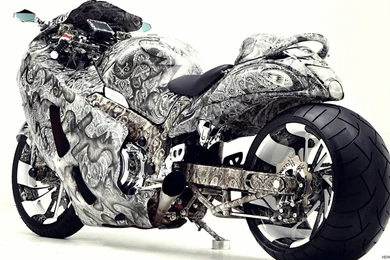 Wallpapers Kawasaki Ninja Girl Suzuki Hayabusa Bike X 1920x1080 ...