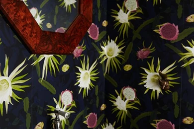 Brooklyn Wallpapers   Louise Jones