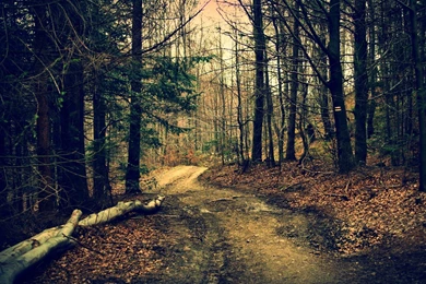 Download Atsuko Maeda Wallpapers HD Desktop