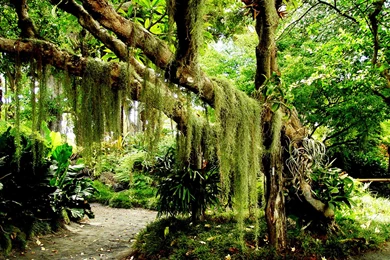 Nature Images HD Wallpapers 1859