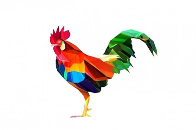 Old Rooster Free Desktop Backgrounds And Wallpapers