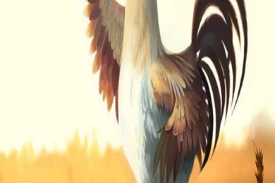 Rooster At Morning Iphone 6 Plus New Hd Wallpapers