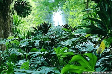 2015 10 09   Page 137