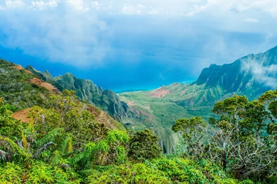 Kalalau Lookout Kauai Hawaii Tropical Jungle Forest Sea Ocean ...