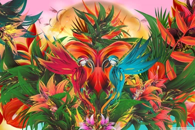 Abstract Tropical Jungle Paradise Illustration Hd Wallpapers