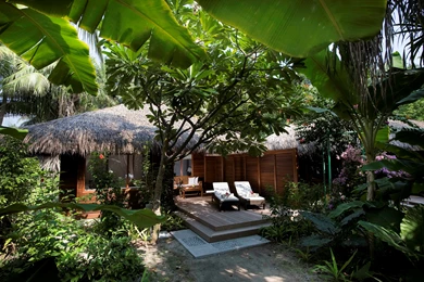 House Buildings Tropical Jungle 4K Ultra Hd Sublime Wallpapers Free ...