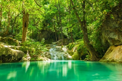 Summer Forest Lake Stream Waterfall Rocks Trees Greenery Tropical ...