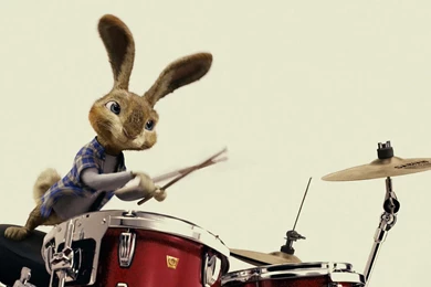 Hop Wallpapers HD Download