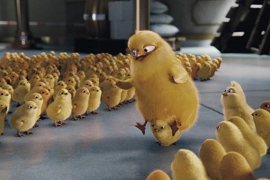 Carlos And Phil From The Movie Hop Desktop Wallpapers