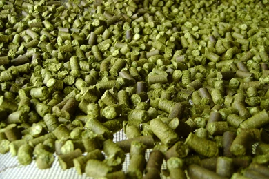 Hops Wallpapers In Addition Reptille Hops Faux Banana Paper ...