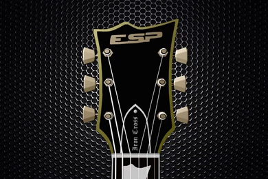 Top Esp Guitar Wallpapers Wallpapers