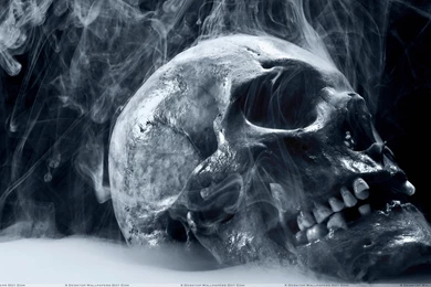 Skulls Wallpapers, Photos & Images In HD