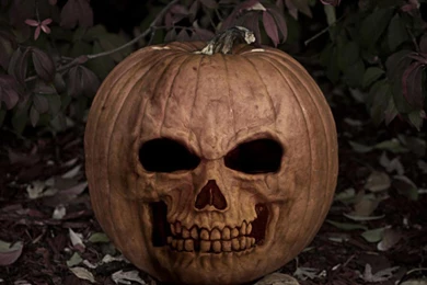 EVIL PUMPKIN FACE WALLPAPER   (