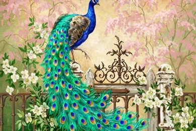 Pretty Wallpapers C3   HD Wallpapers