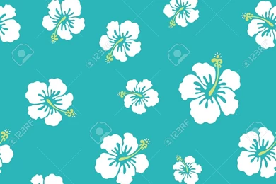 Hawaiian Flowers Wallpapers   Images   Tbwnz.com