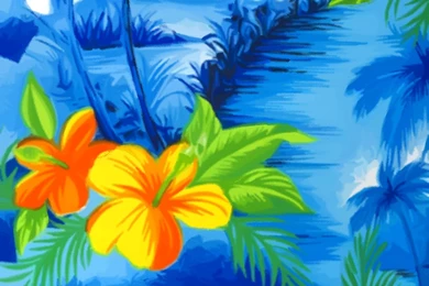 What Is Deal With The Camo Pants And Hawaiian Shirt ...