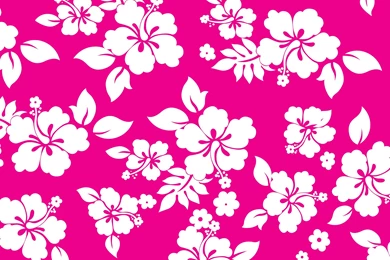 Hawaiian Flowers Cartoon Cartoon Hawaiian Flowers Cartoon Hawaiian ...