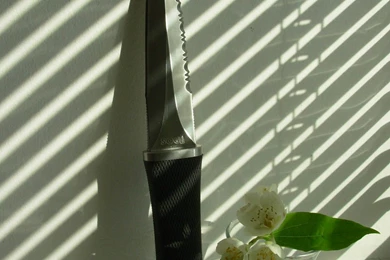 DISCONTINUED WALLPAPER PATTERNS