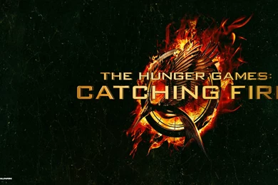 Hunger Games Catching Fire Wallpapers 4/18
