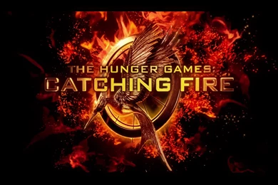 Catching Fire Wallpapers (12)