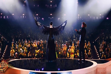 Hunger Games  Catching Fire New Wallpapers (32)