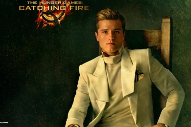 Hunger Games Catching Fire Wallpapers 15/18