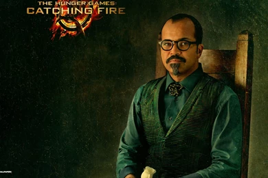 Hunger Games Catching Fire Wallpapers 1/18