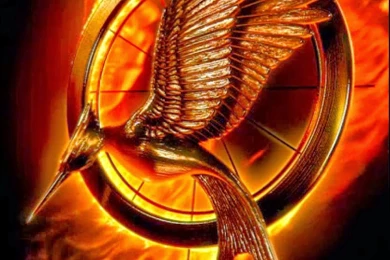 The Hunger Games: Catching Fire Movie Wallpapers