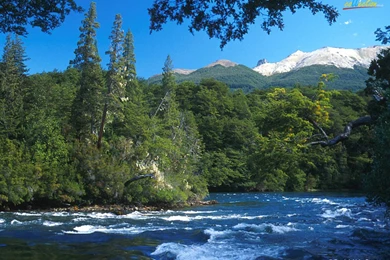 Rivers And Creeks Wallpapers 1600 X 1200