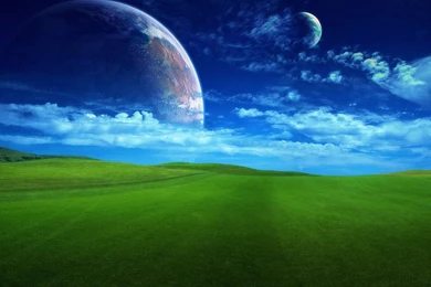 Bed Bugs Can Cause Chagas Disease