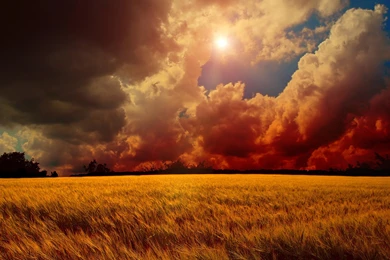 Sunset Over The Clouds Wallpapers