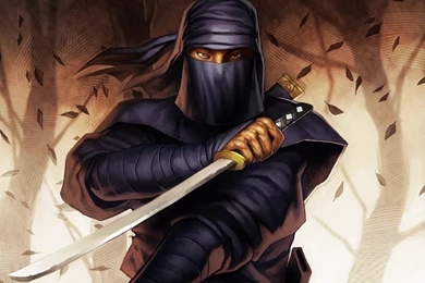 Wallpapers Warriors Sabre Ninja Fantasy Image