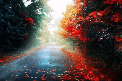 Free High Definition Wallpapers Download ~ Toptenpack.com