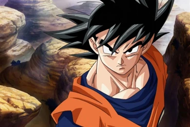 Goku,Dragon Ball Z Goku Dragon Ball Z 1280x927 Wallpapers ...