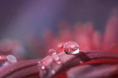 Download All Ten Official LG V10 Wallpapers Here