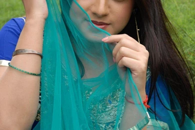 Keerthi chawla hot pics 7   Tamil Movies, Telugu Movies, Malayalam ...