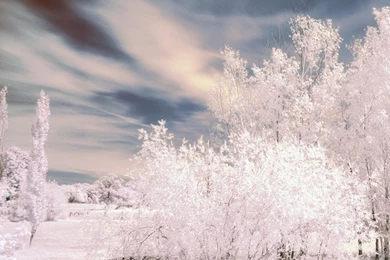 Whimsical Winter Ipad Wallpapers