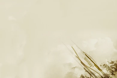 Cool Design Desktop Wallpapers (1473) Pics