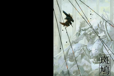 Black And White Action Games Wallpapers Image Featuring Ikaruga