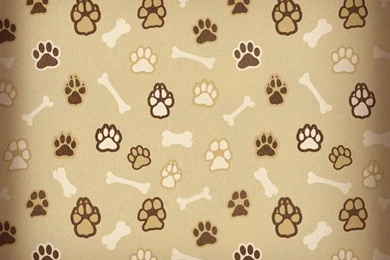 Paws And Bones Paper By Karen Foster Scrapbooking Pinterest. Dog ...